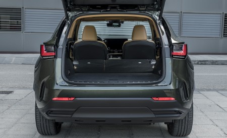 2021 Lexus NX 450h+ (Euro-Spec) Trunk Wallpapers 450x275 (133)