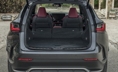 2021 Lexus NX 450h+ (Euro-Spec) Trunk Wallpapers 450x275 (76)