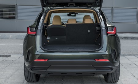 2021 Lexus NX 450h+ (Euro-Spec) Trunk Wallpapers 450x275 (134)