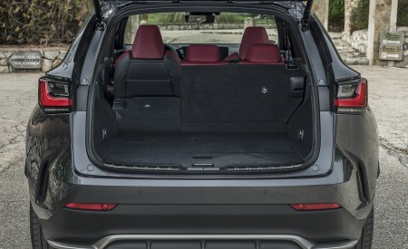 2021 Lexus NX 450h+ (Euro-Spec) Trunk Wallpapers  450x275 (77)