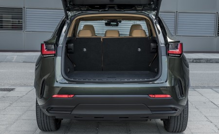 2021 Lexus NX 450h+ (Euro-Spec) Trunk Wallpapers  450x275 (135)