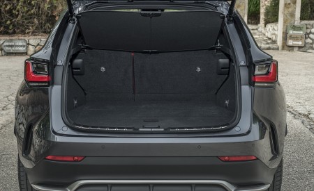 2021 Lexus NX 450h+ (Euro-Spec) Trunk Wallpapers  450x275 (78)