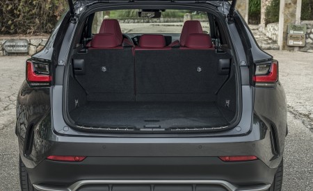 2021 Lexus NX 450h+ (Euro-Spec) Trunk Wallpapers  450x275 (79)