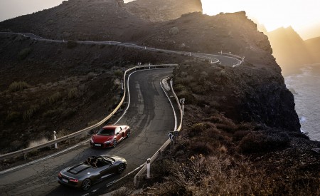 2022 Audi R8 Spyder V10 Performance RWD and R8 V10 Coupe RWD Wallpapers 450x275 (32)