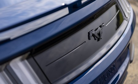 2022 Ford Mustang GT Stealth Edition Badge Wallpapers 450x275 (12)