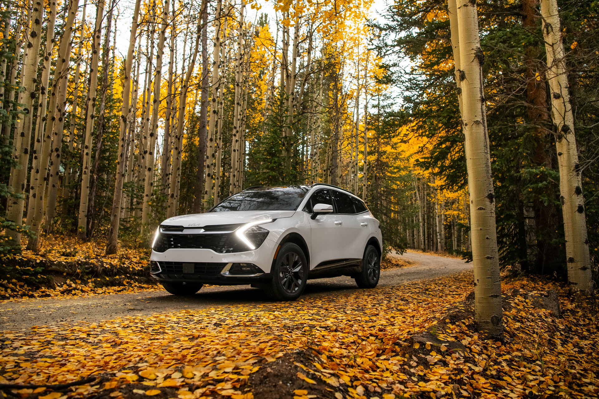 2023 Kia Sportage SX Front Three-Quarter Wallpapers #17 of 19