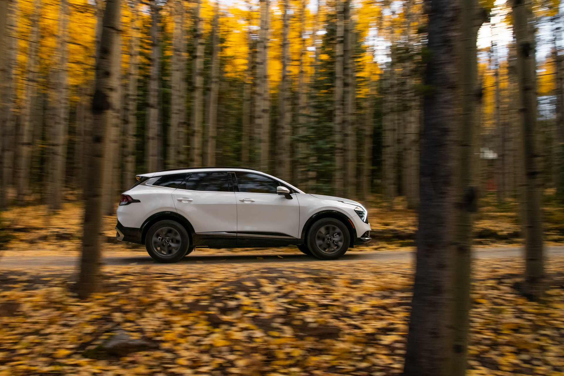 2023 Kia Sportage SX Side Wallpapers #18 of 19