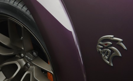 2022 Dodge Challenger SRT Hellcat Redeye Widebody Jailbreak Detail Wallpapers 450x275 (6)