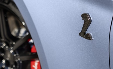 2022 Ford Mustang Shelby GT500 Heritage Edition Badge Wallpapers 450x275 (20)