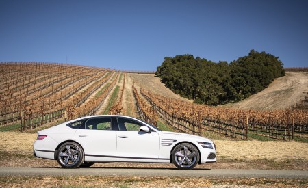 2022 Genesis G80 Side Wallpapers  450x275 (103)