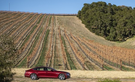 2022 Genesis G80 Side Wallpapers  450x275 (29)