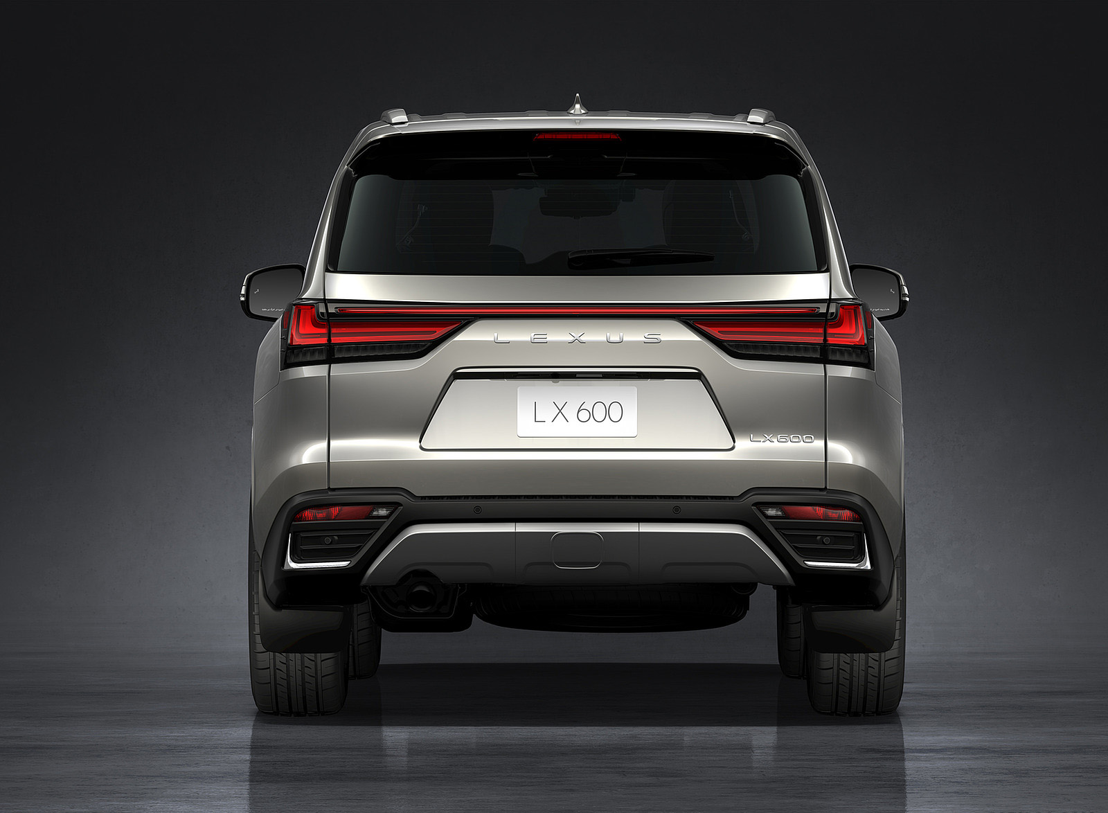 2022 Lexus LX 600 Rear Wallpapers (11)