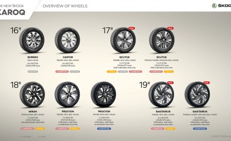 2022 Skoda Karoq Style Infographics Wallpapers 450x275 (139)