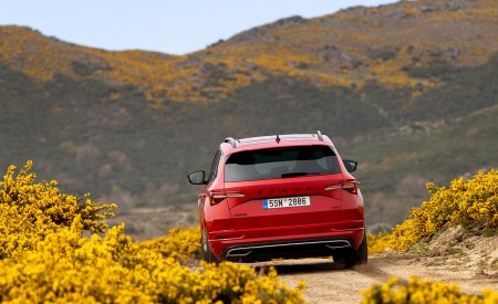 2022 Škoda Karoq Sportline Rear Wallpapers 450x275 (16)