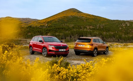 2022 Škoda Karoq Sportline Wallpapers  450x275 (18)