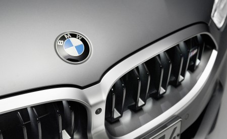 2023 BMW 8 Series Convertible Grille Wallpapers 450x275 (18)