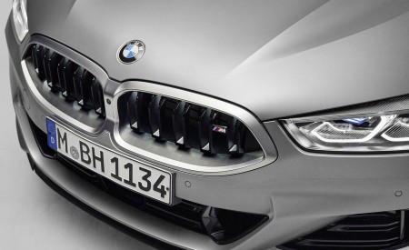 2023 BMW 8 Series Convertible Grille Wallpapers  450x275 (20)