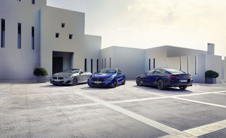 2023 BMW 8 Series Convertible Wallpapers 450x275 (28)