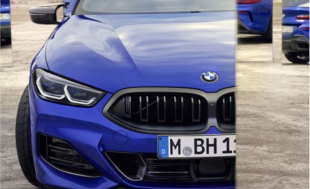 2023 BMW 8 Series Coupe Detail Wallpapers  450x275 (12)