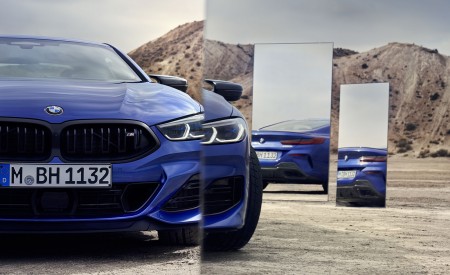 2023 BMW 8 Series Coupe Detail Wallpapers 450x275 (11)