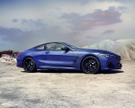 2023 BMW 8 Series Coupe Side Wallpapers  150x120 (6)