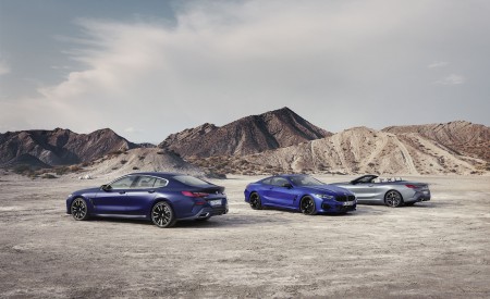2023 BMW 8 Series Coupe Wallpapers 450x275 (13)