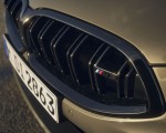 2023 BMW M8 Competition Convertible Grille Wallpapers  150x120 (19)