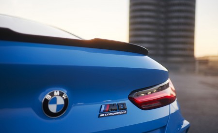 2023 BMW M8 Coupe Competition Detail Wallpapers 450x275 (21)