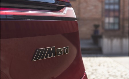 2023 BMW iX M60 Detail Wallpapers 450x275 (100)