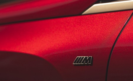 2023 BMW iX M60 Detail Wallpapers 450x275 (95)