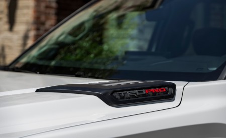 2023 Toyota Sequoia TRD Pro Detail Wallpapers  450x275 (63)