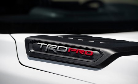 2023 Toyota Sequoia TRD Pro Detail Wallpapers 450x275 (62)