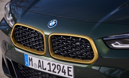 2022 BMW X2 GoldPlay Edition xDrive25e Grille Wallpapers 450x275 (30)