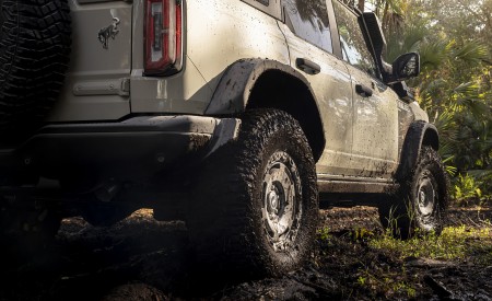 2022 Ford Bronco Everglades (Color: Desert Sand) Detail Wallpapers 450x275 (25)