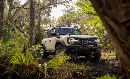 2022 Ford Bronco Everglades (Color: Desert Sand) Front Three-Quarter Wallpapers 450x275 (12)