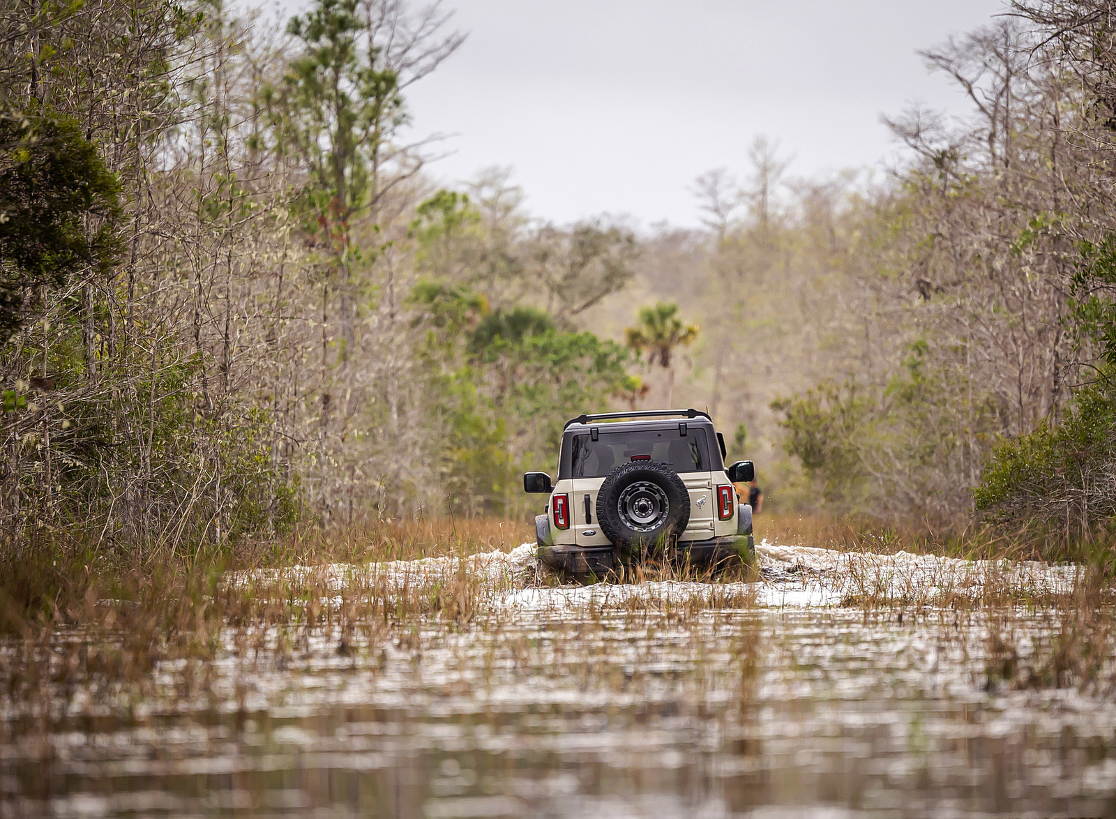 2022 Ford Bronco Everglades (Color: Desert Sand) Off-Road Wallpapers  (5)