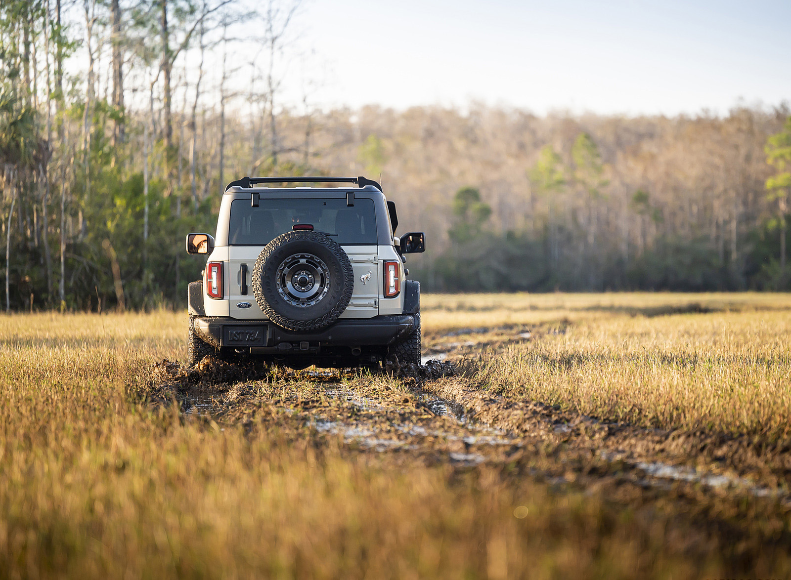 2022 Ford Bronco Everglades (Color: Desert Sand) Rear Wallpapers (9)