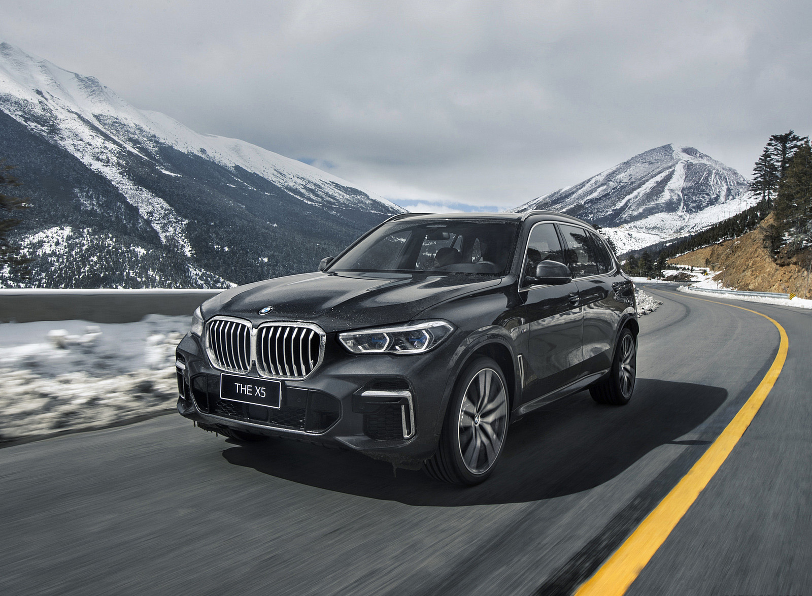 2022 BMW X5 xDrive 40Li Front Three-Quarter Wallpapers (1)