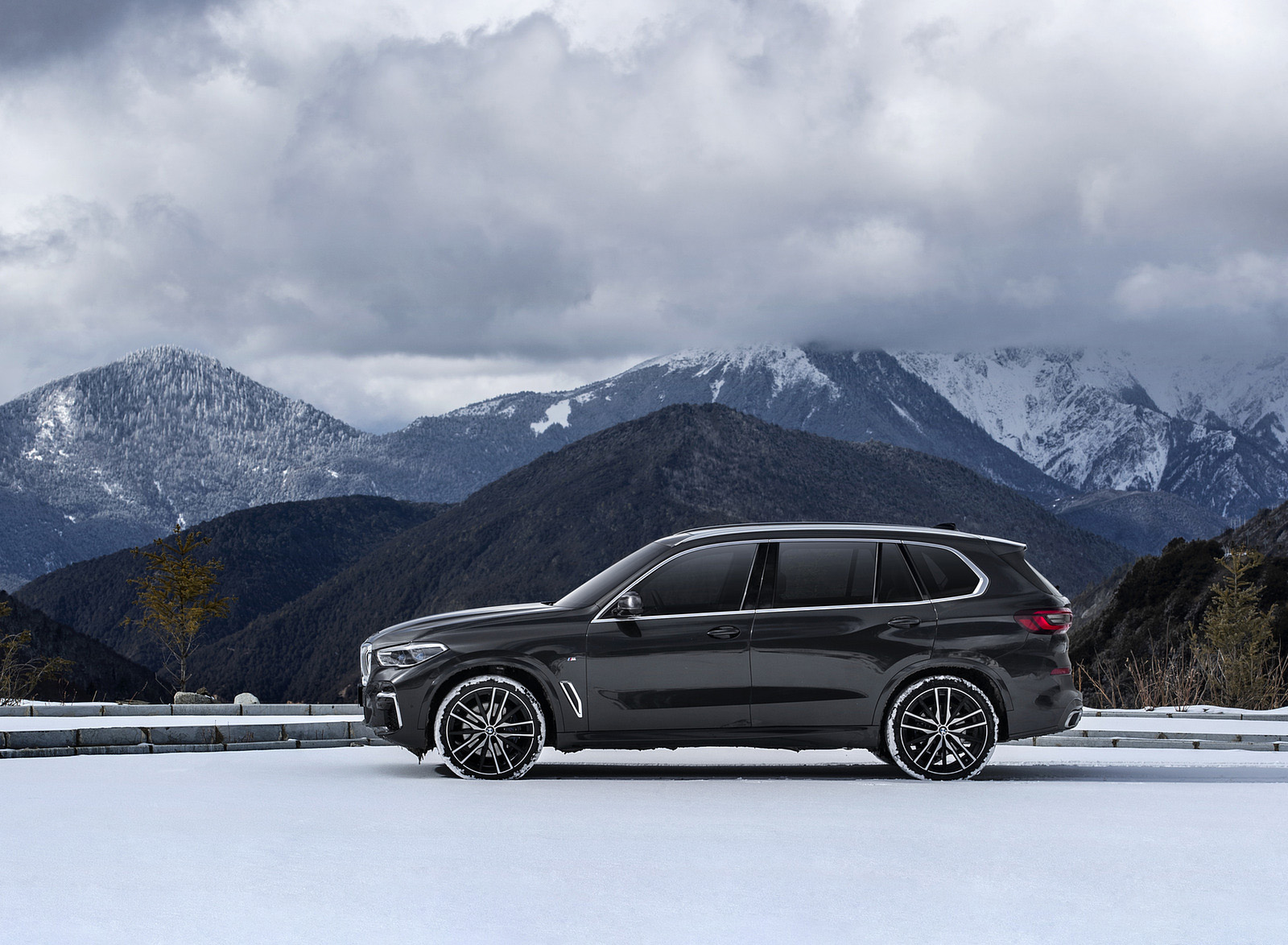 2022 BMW X5 xDrive 40Li Side Wallpapers (7)