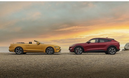 2022 Ford Mustang California Special Side Wallpapers 450x275 (13)