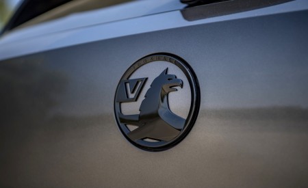 2022 Vauxhall Astra GS Line Badge Wallpapers 450x275 (28)