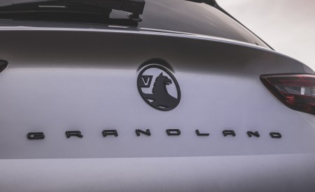 2022 Vauxhall Grandland GS Line Badge Wallpapers 450x275 (38)