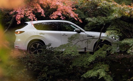 2023 Mazda CX-60 PHEV Side Wallpapers 450x275 (2)