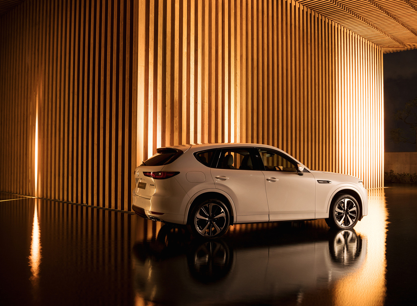 2023 Mazda CX-60 PHEV Side Wallpapers #41 of 71