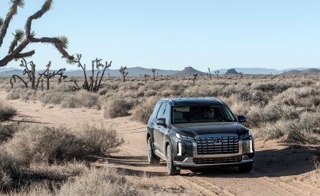 2023 Hyundai Palisade Front Three-Quarter Wallpapers 450x275 (10)