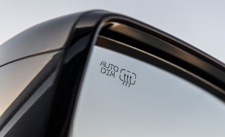 2023 Hyundai Palisade Mirror Wallpapers 450x275 (32)