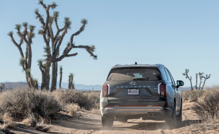 2023 Hyundai Palisade Rear Wallpapers 450x275 (13)