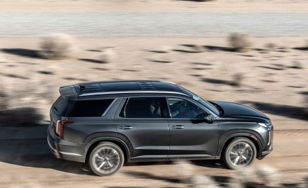 2023 Hyundai Palisade Side Wallpapers  450x275 (15)