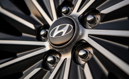 2023 Hyundai Palisade Wheel Wallpapers 450x275 (34)