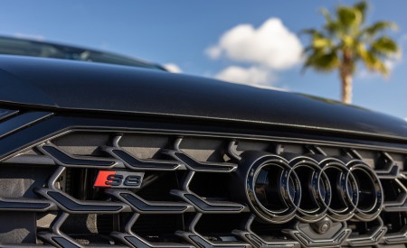 2022 Audi S8 (Color: Vesuvius Gray; US-Spec) Grille Wallpapers 450x275 (46)